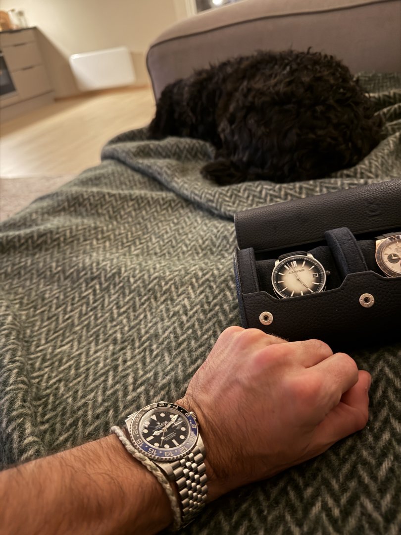 IMG_6714.jpeg IMG_6714.jpeg