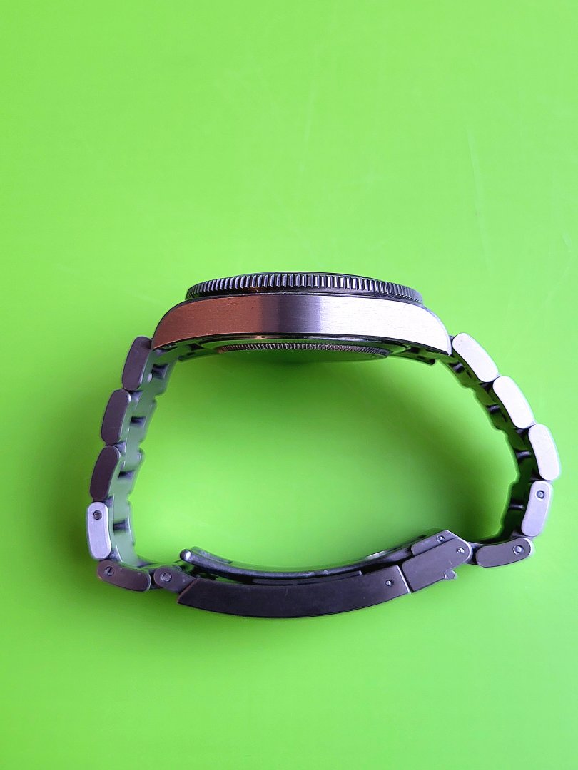 Bilde Pelagos 39 side.jpg