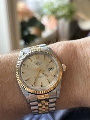 IMG_0229.jpeg