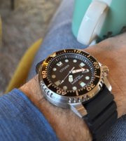 IMG_8367.jpeg