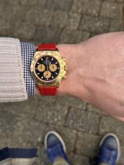 IMG_2979.jpeg