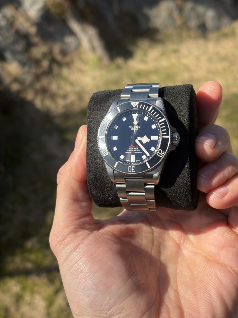 IMG_6766.jpeg