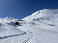 IMG_1896.jpeg