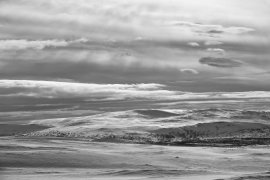 D51_2049_961_nik__ed_bw_1500.jpg