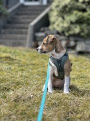 IMG_5570.jpeg