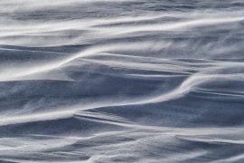 D51_2035_956_nik_ed_1500b.jpg