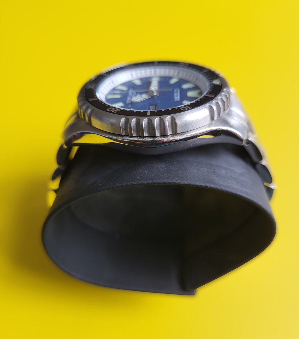 Bilde Citizen Fugo - side.jpg