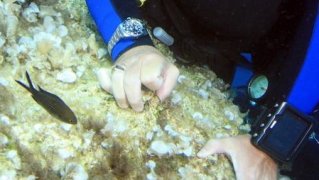 IMG_1787.jpeg