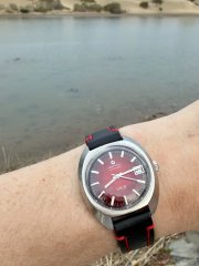 IMG_7847.jpeg