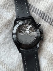 IMG_3730.jpeg