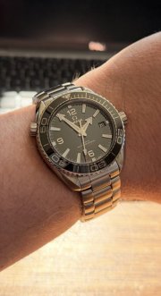 IMG_0206.jpeg