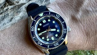 IMG_7195.jpeg