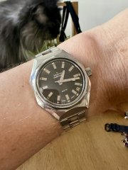 IMG_7868.jpeg