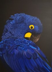 IMG_0830.jpeg