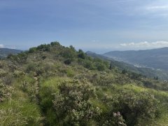 IMG_9748.jpeg