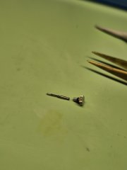 20260327_202103.jpg