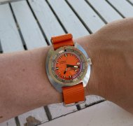 IMG_0257.jpeg