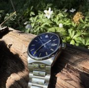 IMG_5076.jpeg