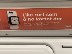 IMG_5087.jpeg