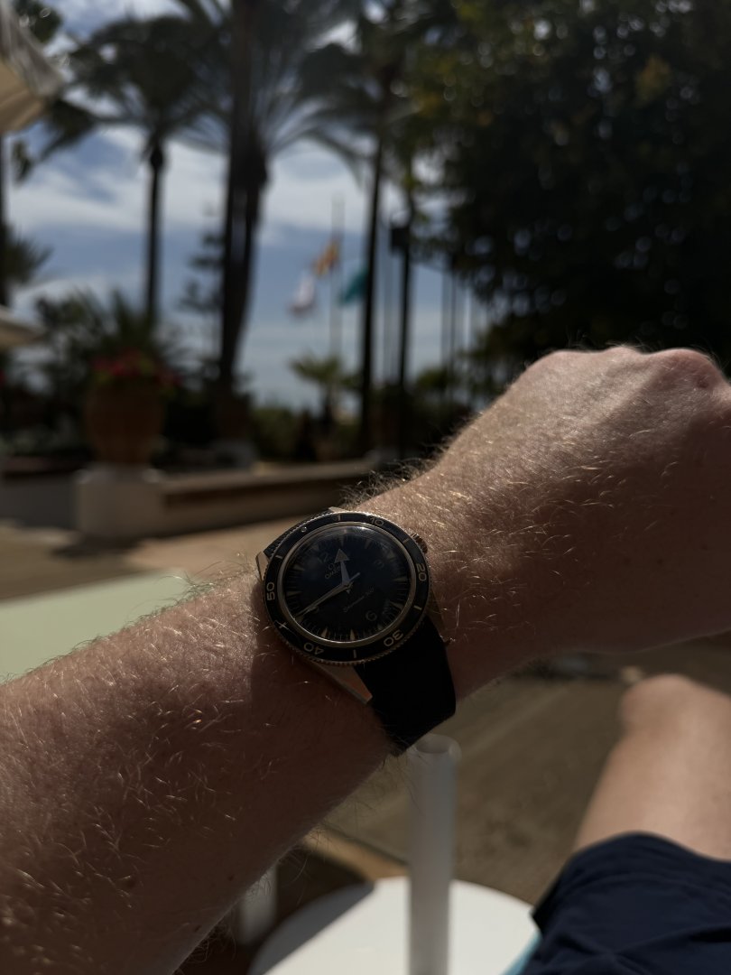 IMG_3862.jpeg