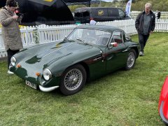 IMG_3154.jpeg
