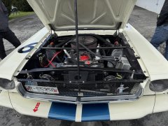 IMG_3161.jpeg