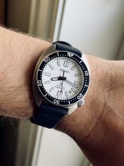IMG_3879.jpeg