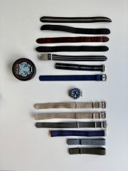 IMG_5444.jpeg