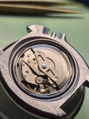 1000034376.jpg
