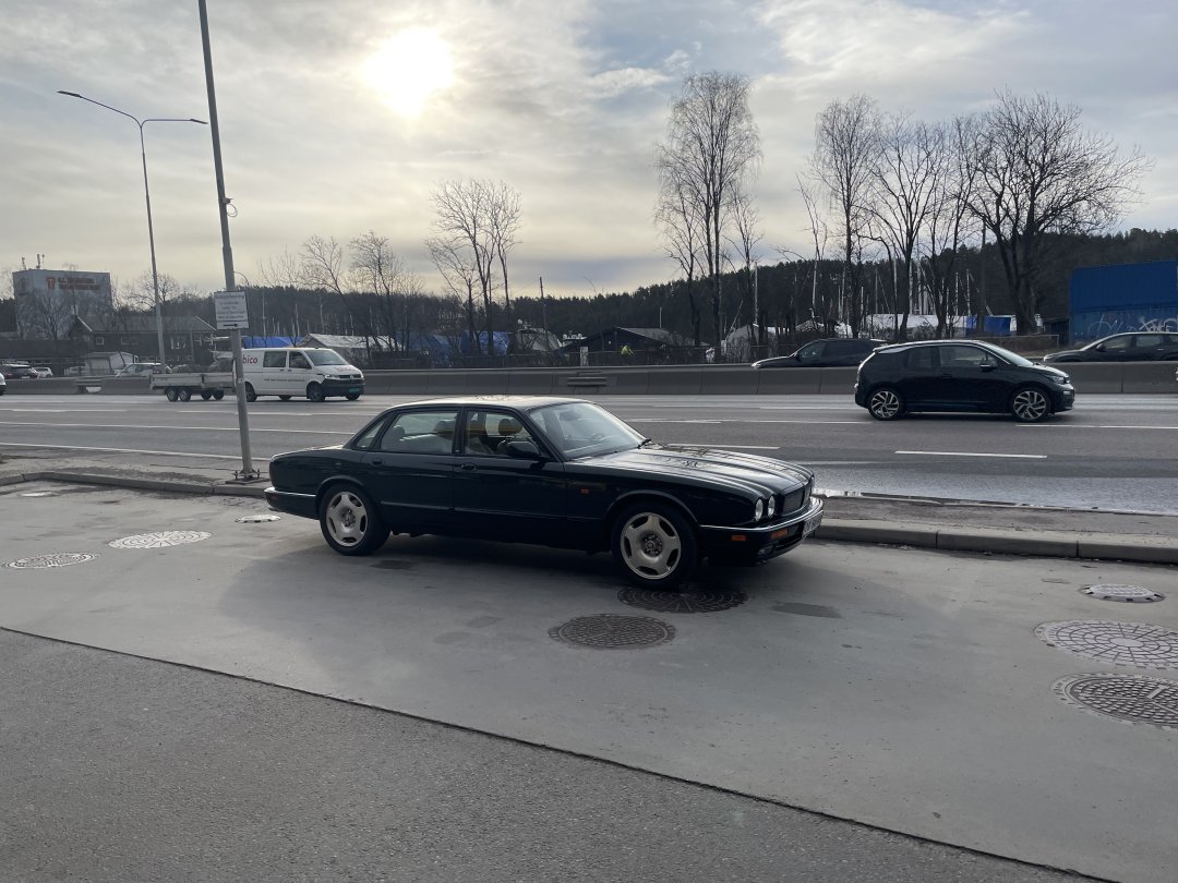 IMG_2366.jpeg