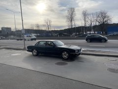 IMG_2366.jpeg