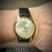 IMG_0016.jpeg