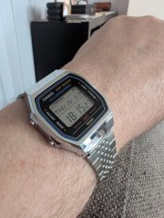 1000028453.jpg