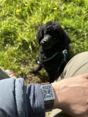IMG_9412.jpeg