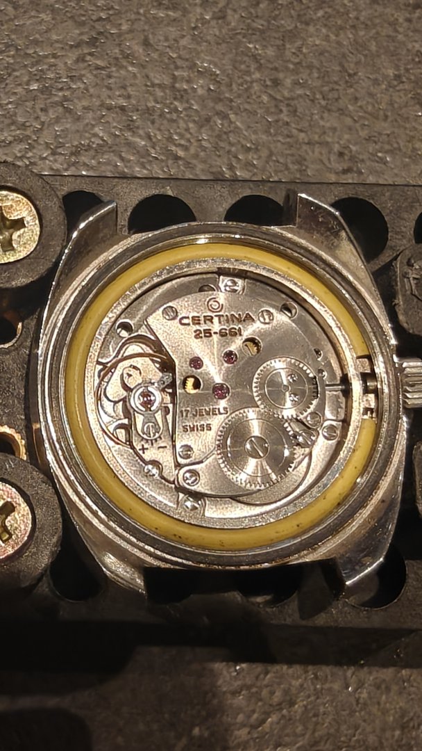 IMG20260517205135.jpg
