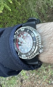 IMG_5175.jpeg