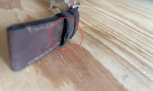 IMG_8105.jpeg