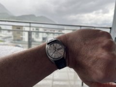 IMG_8145.jpeg