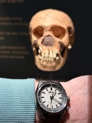 IMG_0485.jpeg