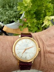 IMG_0075.jpeg