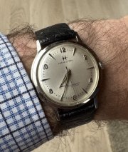 IMG_5284.jpeg