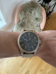 IMG_5678.jpeg