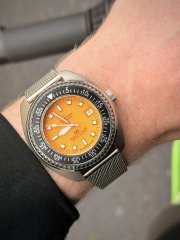 IMG_0999.jpeg