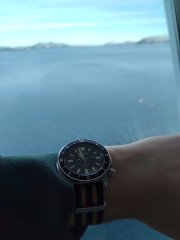 IMG_20260328_105815790.jpg