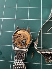 IMG_4567.jpeg