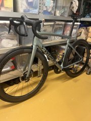 IMG_1974.jpeg