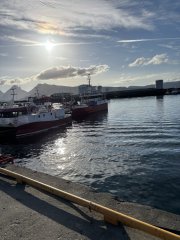 IMG_2721.jpeg