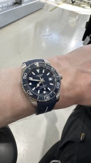 IMG_3503.jpeg