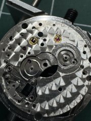 IMG_4616.jpeg