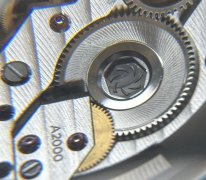IMG_5404.jpeg